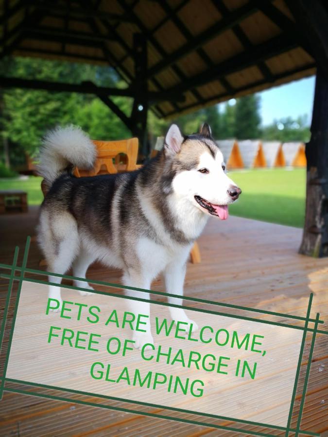 Glamping Forest Edge 卡姆尼克 外观 照片