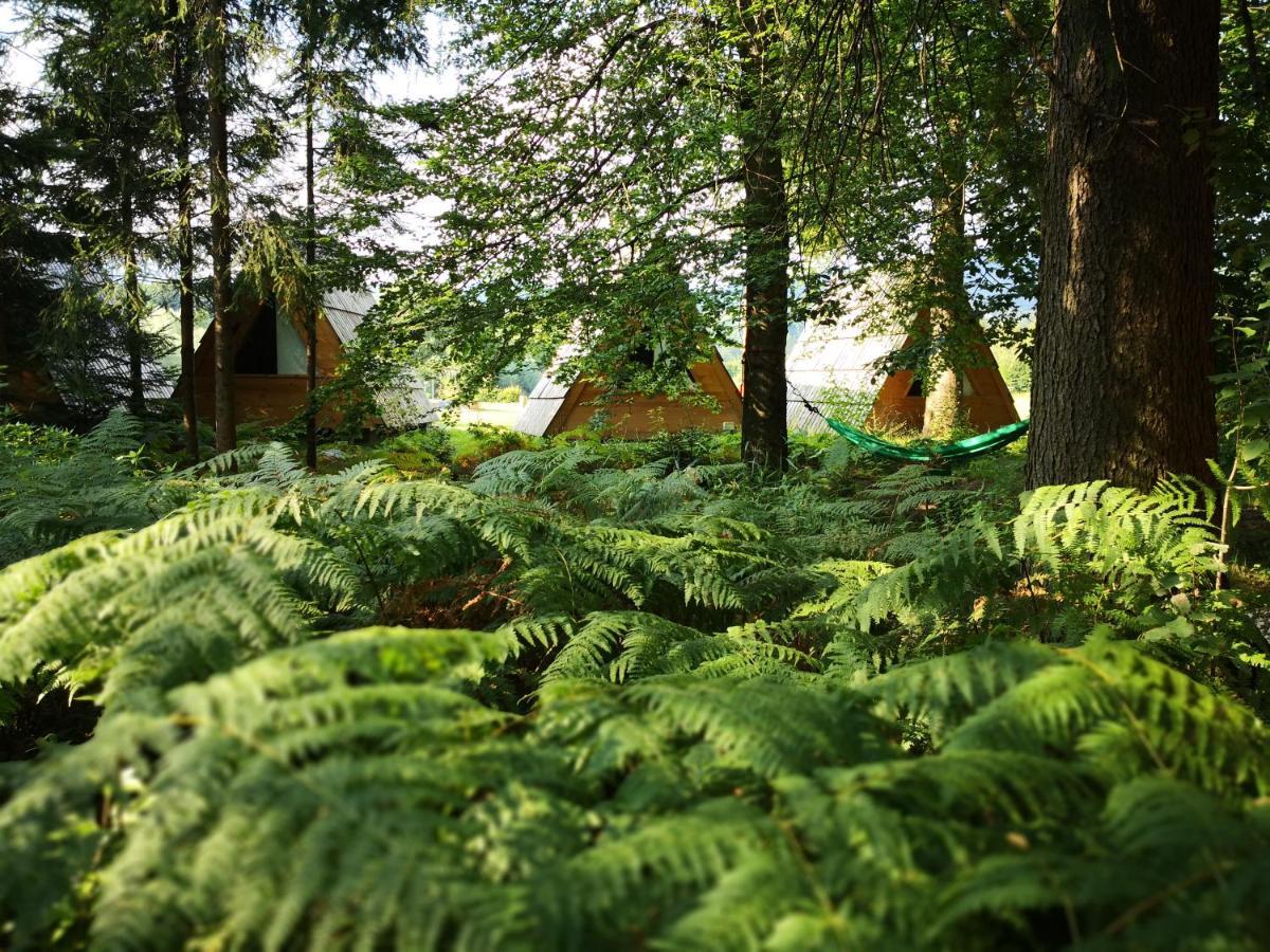 Glamping Forest Edge 卡姆尼克 外观 照片