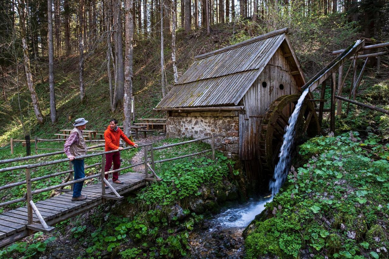 Glamping Forest Edge 卡姆尼克 外观 照片